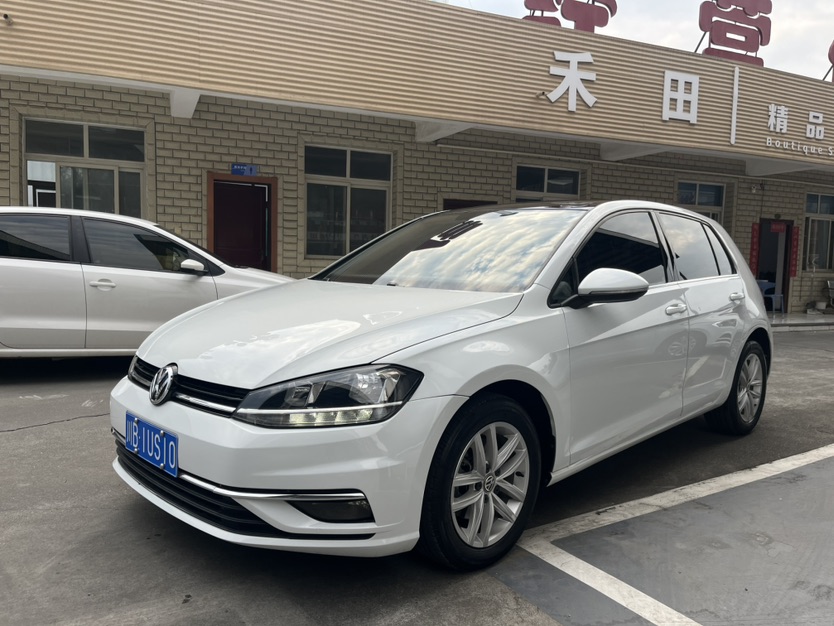 Volkswagen Golf 2019 Volkswagen Golf 2019 car image