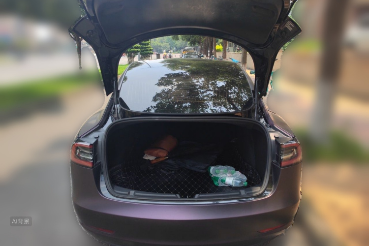Tesla Model 3 2020 #21 Tesla Model 3 2020 car image #21