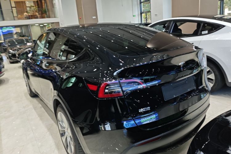 Tesla Model Y 2023 #5 Tesla Model Y 2023 car image #5