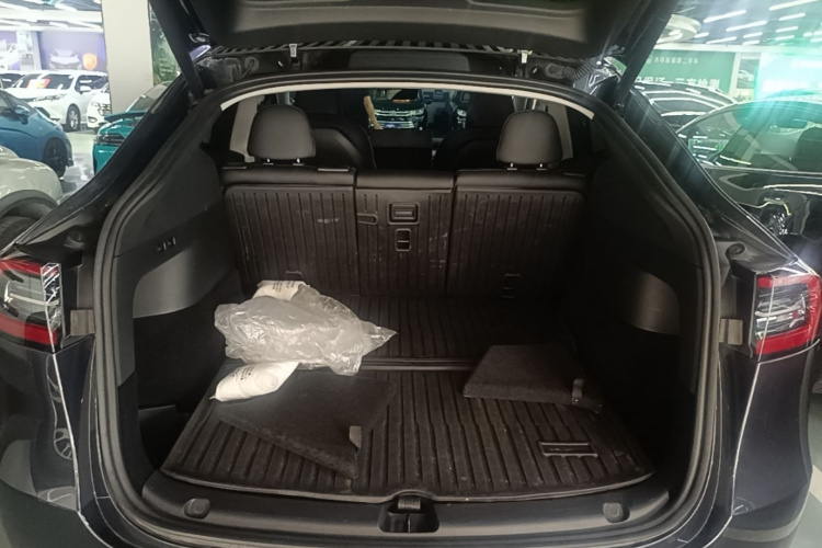 Tesla Model Y 2024 car image #19