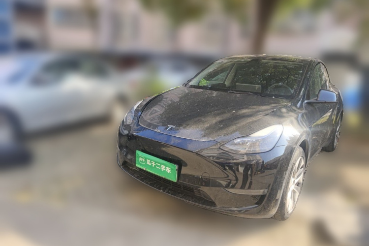Tesla Model Y 2022 immagine di auto #2