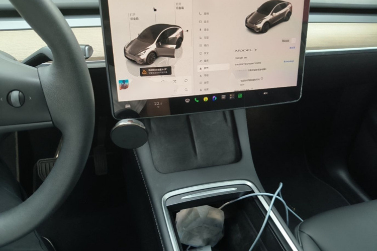 Tesla Model Y 2022 car image #10