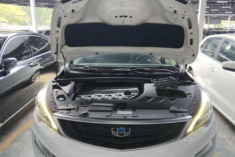 GEELY Emgrand GS 2017 #22 GEELY Emgrand GS 2017 car image #22