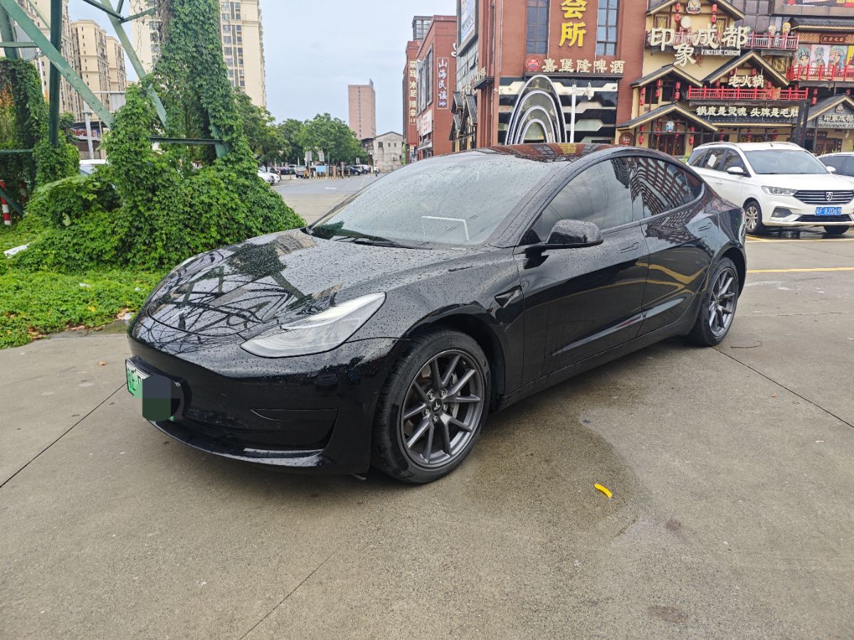 Tesla Model 3 2022 car image 