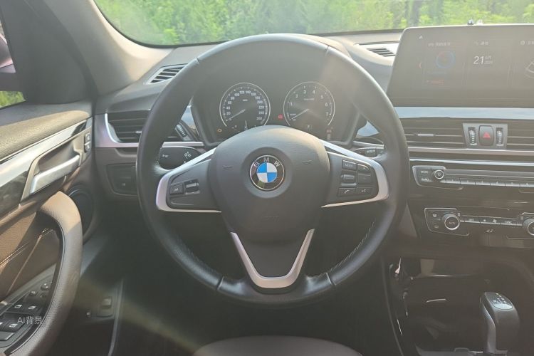 BMW X1 New Energy 2019 car image #12