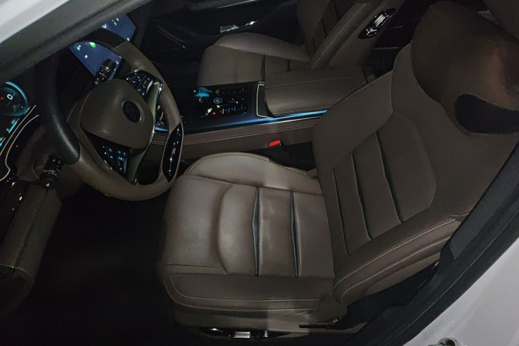 BYD Han 2021 immagine di auto #19