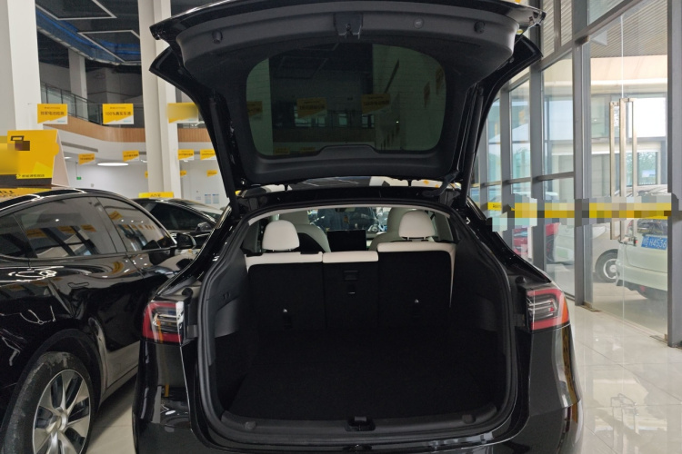 Tesla Model Y 2023 #21 Tesla Model Y 2023 car image #21