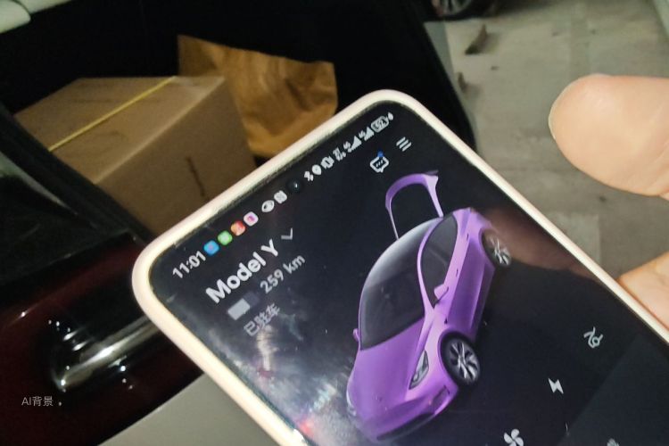 Tesla Model Y 2021 car image #10