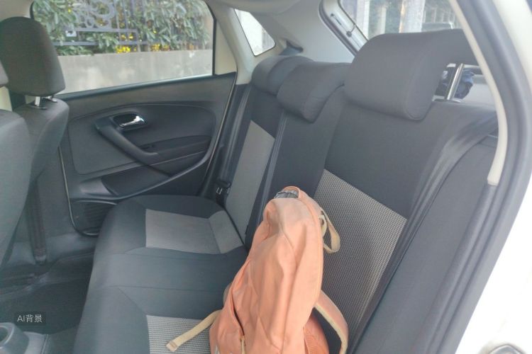 Volkswagen Polo 2014 car image #19