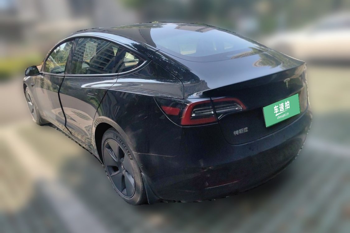 Tesla Model 3 2021 imagem de carro #3