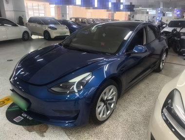 Tesla Model 3 2021 car image 