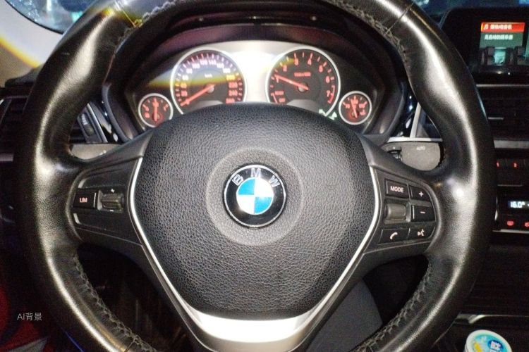 BMW 3 Series 2017 car image #12