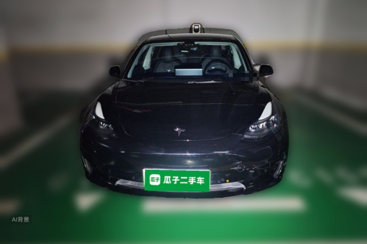 Tesla Model 3 2021 #3 Tesla Model 3 2021 car image #3