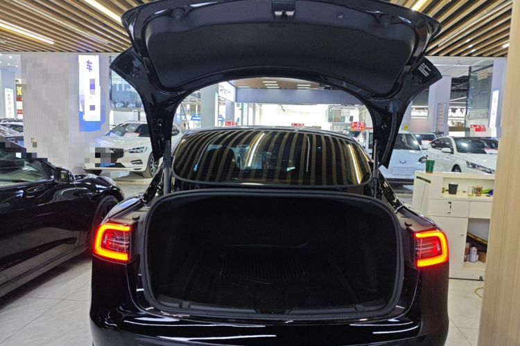 Tesla Model 3 2023 car image #21