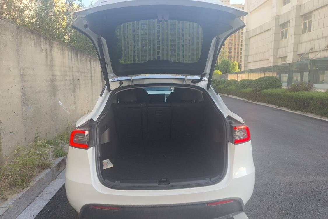 Tesla Model Y 2024 #8 Tesla Model Y 2024 car image #8