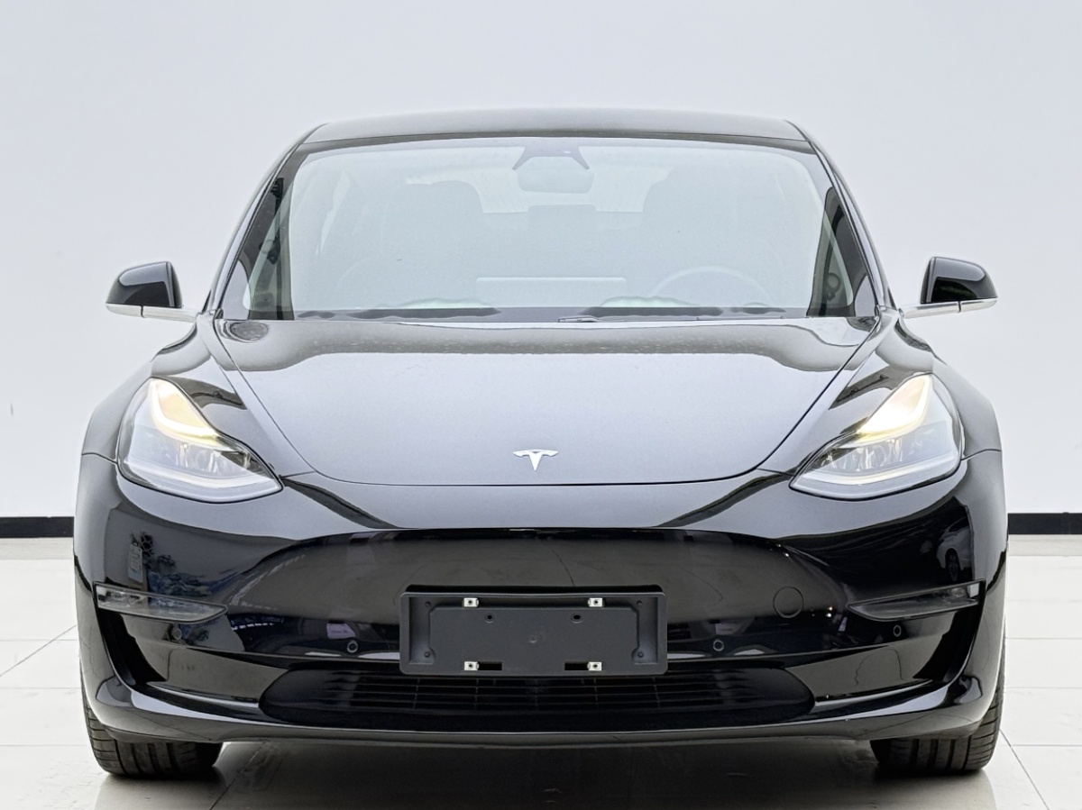 Tesla Model 3 2020 car image #2