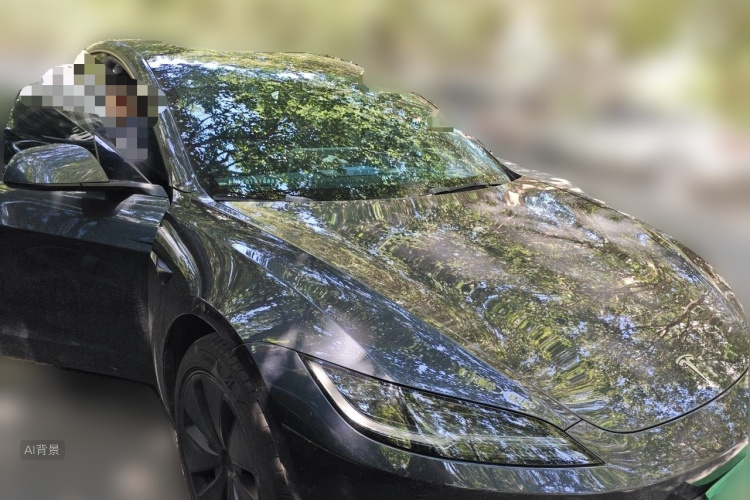 Tesla Model 3 2025 car image #4