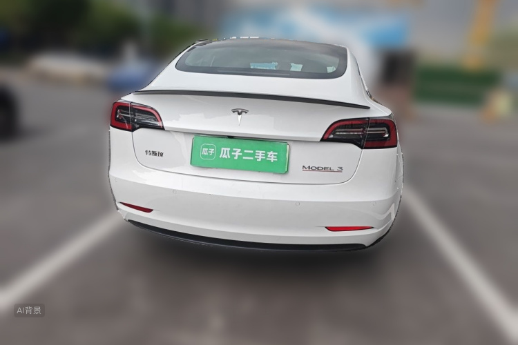 Tesla Model 3 2021 car image #6