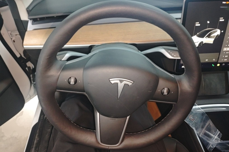 Tesla Model 3 2021 #11 Tesla Model 3 2021 car image #11