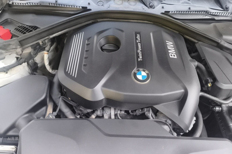 BMW 3 Series 2019 car image #22
