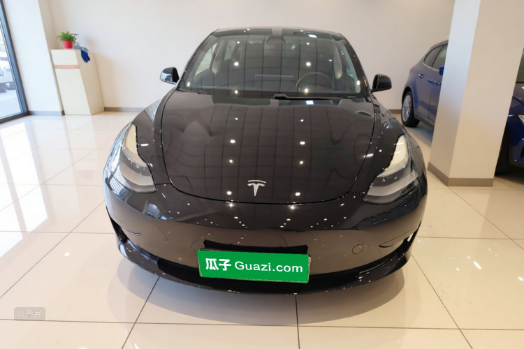 Tesla Model 3 2021 #3 Tesla Model 3 2021 car image #3