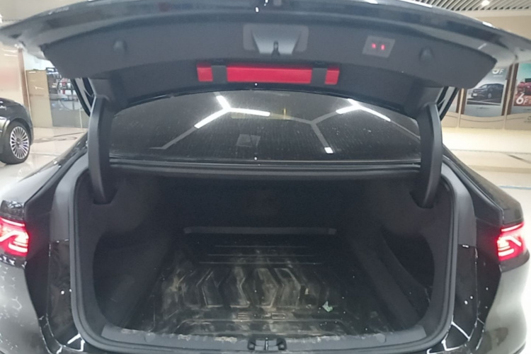 BYD Han 2024 car image #19
