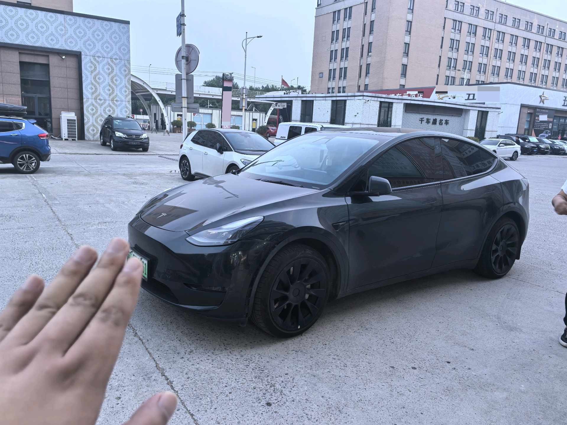 Tesla Model Y 2021 Tesla Model Y 2021 car image