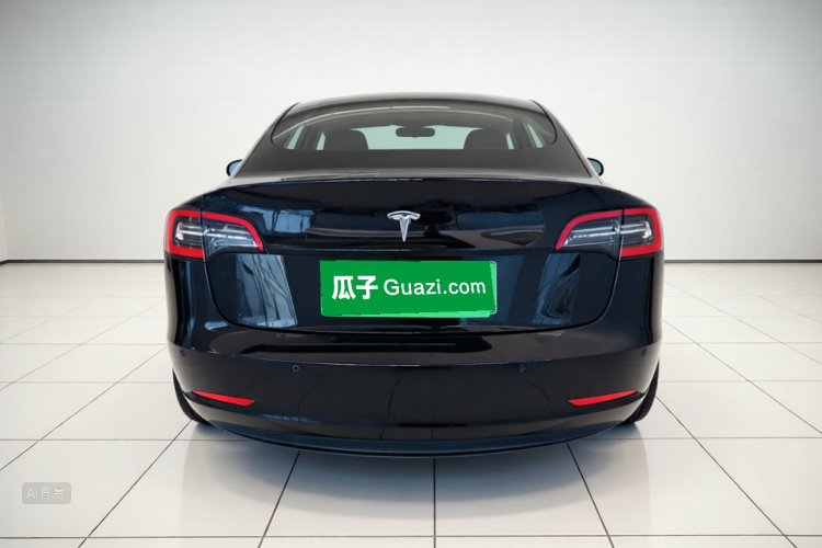 Tesla Model 3 2020 car image #6