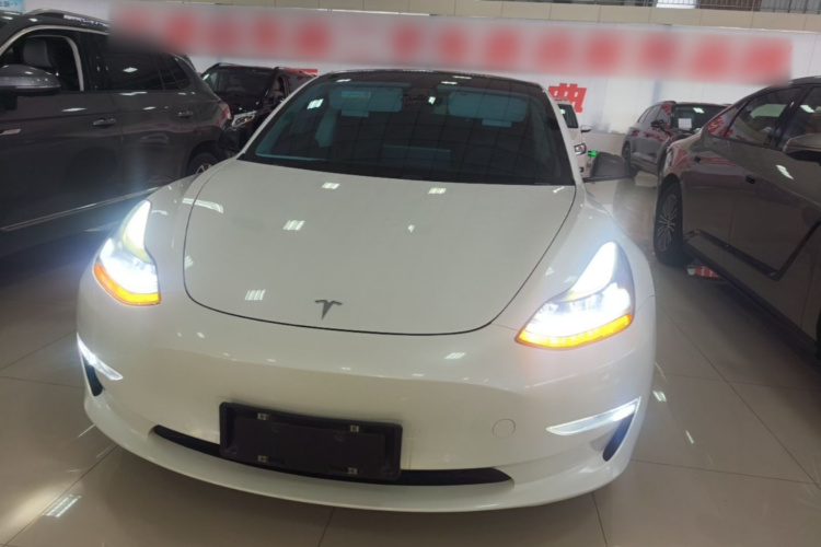 Tesla Model 3 2020 #3 Tesla Model 3 2020 car image #3
