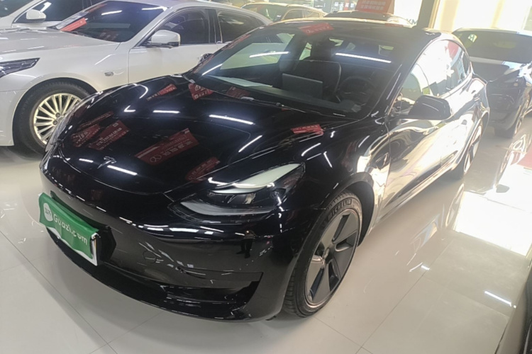 Tesla Model 3 2021 immagine di auto #2