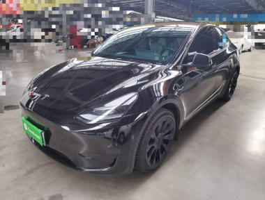 Tesla Model Y 2023 Tesla Model Y 2023 car image