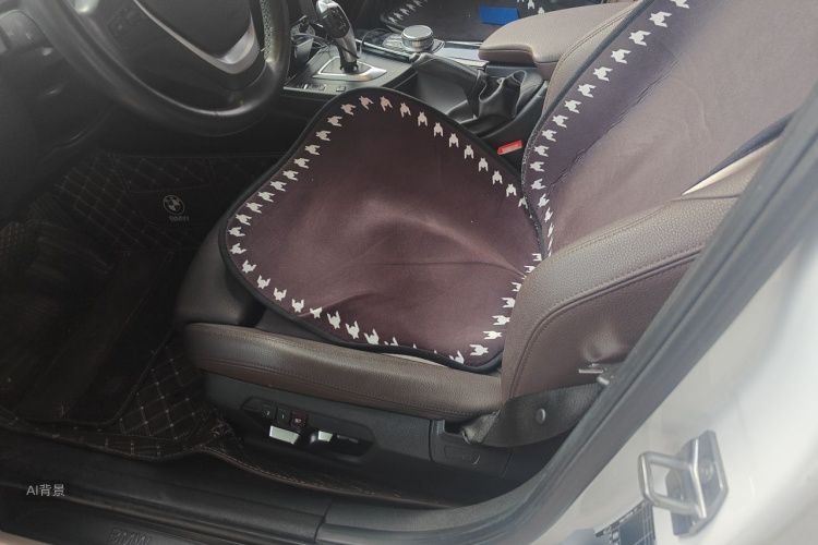 BMW 3 Series 2019 car image #17