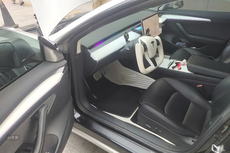 Tesla Model 3 2021 car image #18