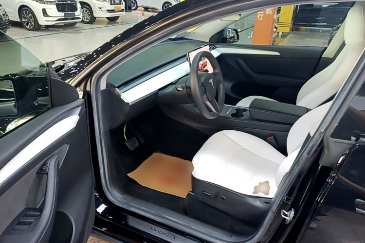 Tesla Model Y 2022 immagine di auto #18