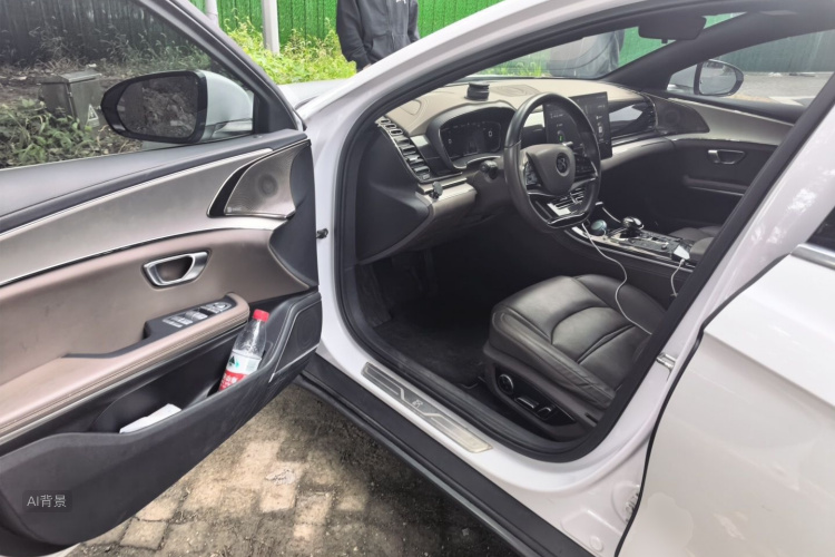 BYD Han 2021 car image #18