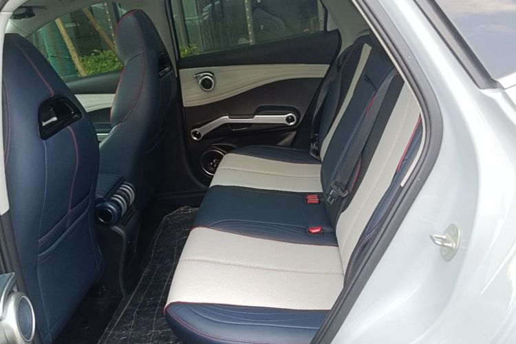 BYD Yuan Plus 2022 car image #13