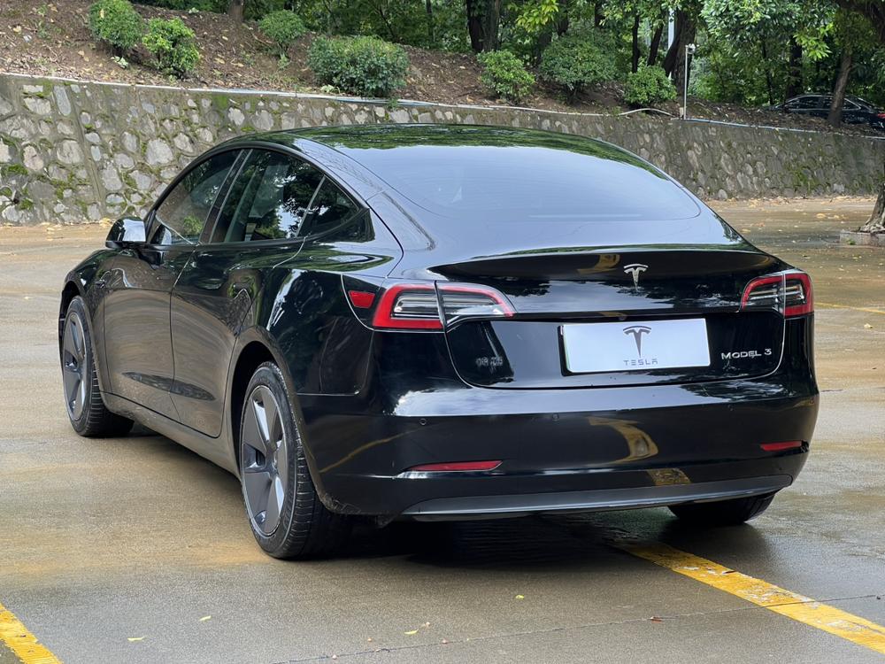 Tesla Model 3 2021 #4 Tesla Model 3 2021 car image #4