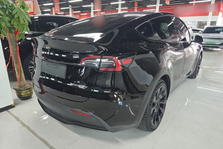 Tesla Model Y 2022 #7 Tesla Model Y 2022 car image #7