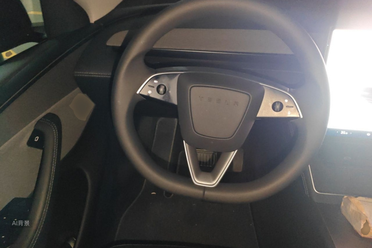 Tesla Model Y 2025 car image #12
