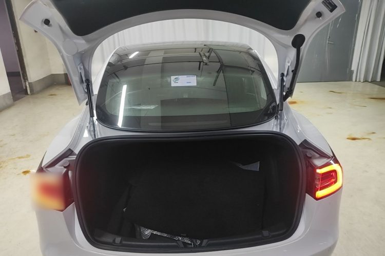 Tesla Model 3 2020 #19 Tesla Model 3 2020 car image #19