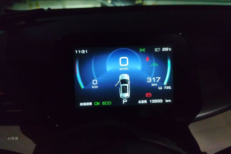 BYD Yuan Plus 2024 car image #13