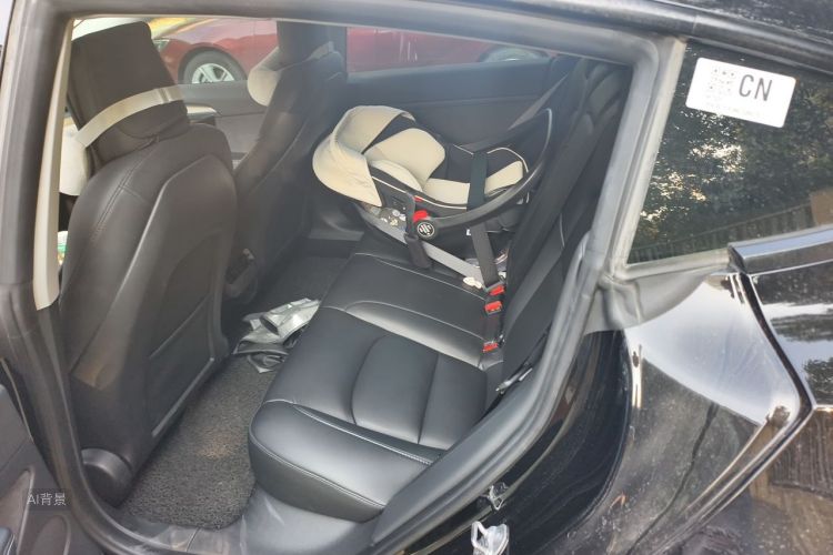 Tesla Model 3 2022 #19 Tesla Model 3 2022 car image #19