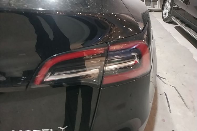 Tesla Model Y 2021 immagine di auto #8