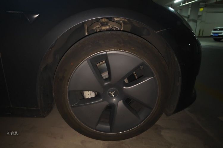 Tesla Model 3 2022 car image #9