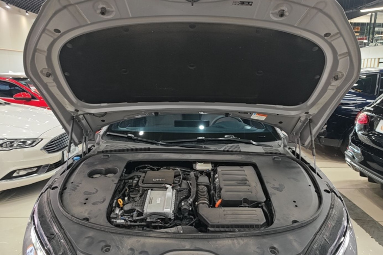 BYD Han 2024 car image #20
