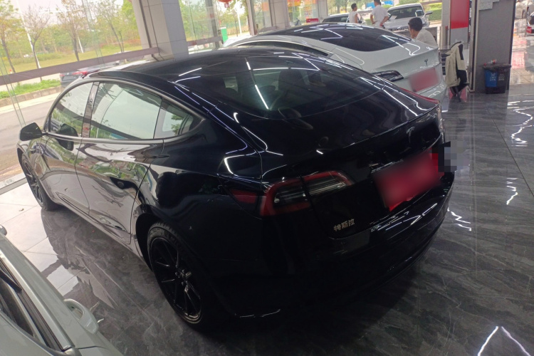 Tesla Model 3 2021 #5 Tesla Model 3 2021 car image #5