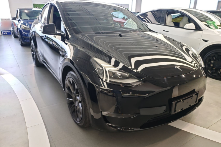 Tesla Model Y 2021 car image #4