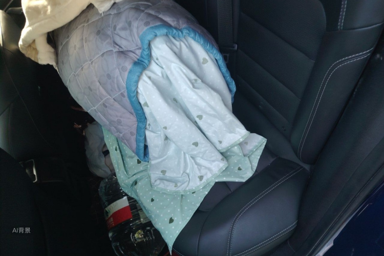 GEELY Emgrand GL 2020 car image #19