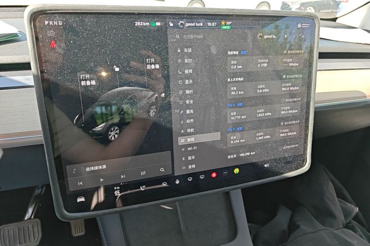 Tesla Model Y 2021 car image #12