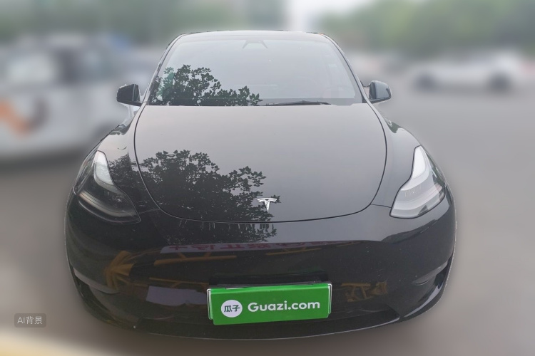 Tesla Model Y 2021 car image #3